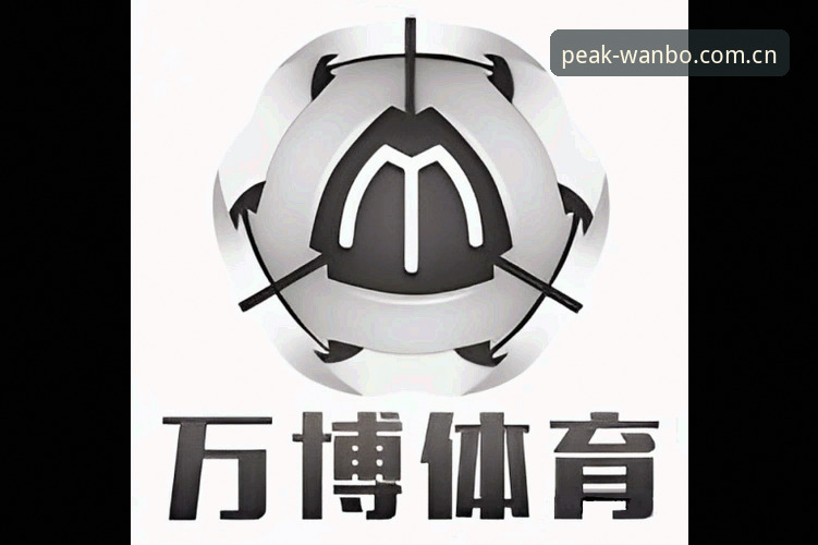 万博体育官方平台深度使用攻略与体验分享